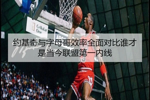 约基奇与字母哥效率全面对比谁才是当今联盟第一内线